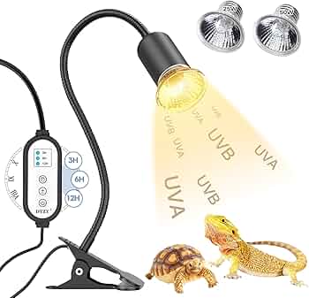 71zFh0kya1L._AC_UF350,