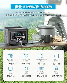 Amazon.co.jp: EcoPlay EP800【業界トップの軽さ 6.5Kg】Eco Play