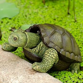 71zp29BSbAL._AC_UF350,