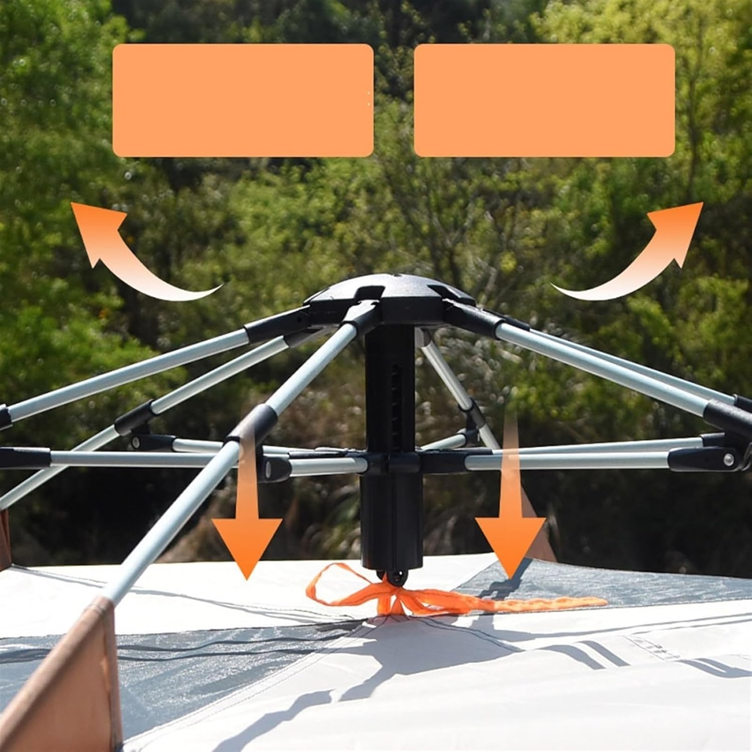 民国 紫砂名人 小石刻(任小松)造 朱泥紫砂 盆栽鉢二点セット 民国 紫砂