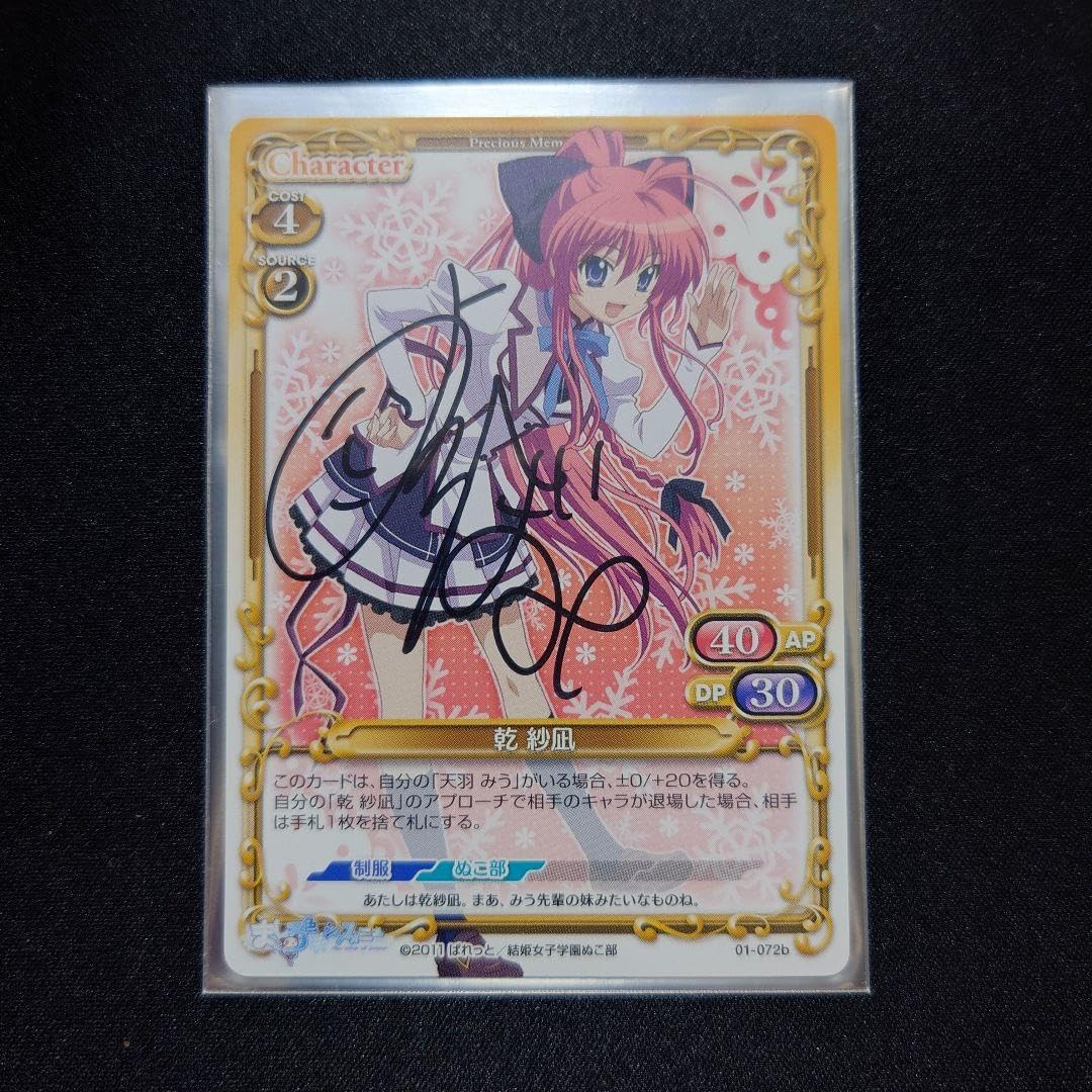 プレシャスメモリーズAKB480048さえ（10代・音楽活動）カード サイン