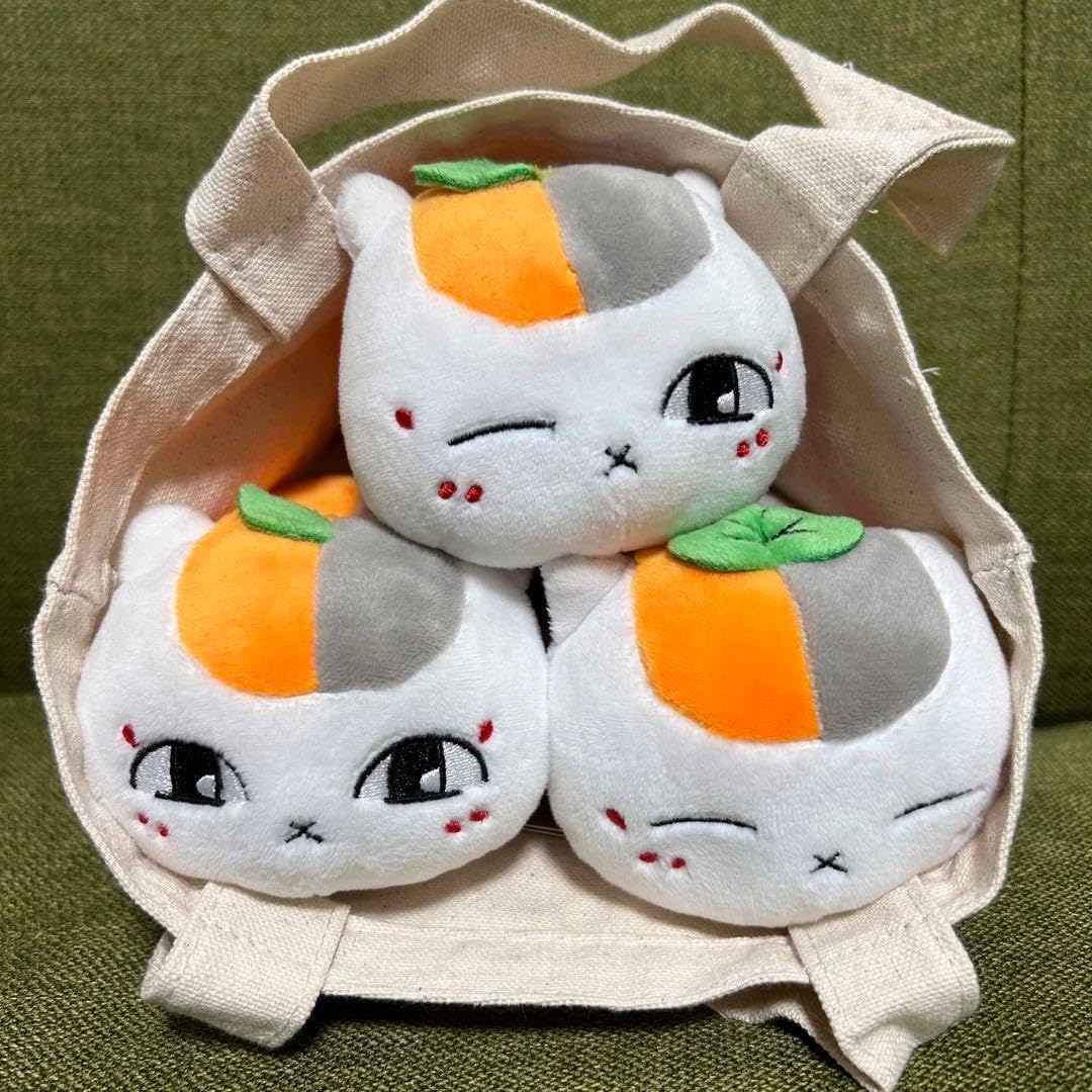 IVE JAPAN OFFICIAL FANCLUB「DIVE JAPAN」新規入会＆お友達紹介