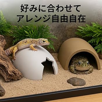 Amazon | 爬虫類シェルター 木の洞穴型【Sサイズ】両生類用シェルター
