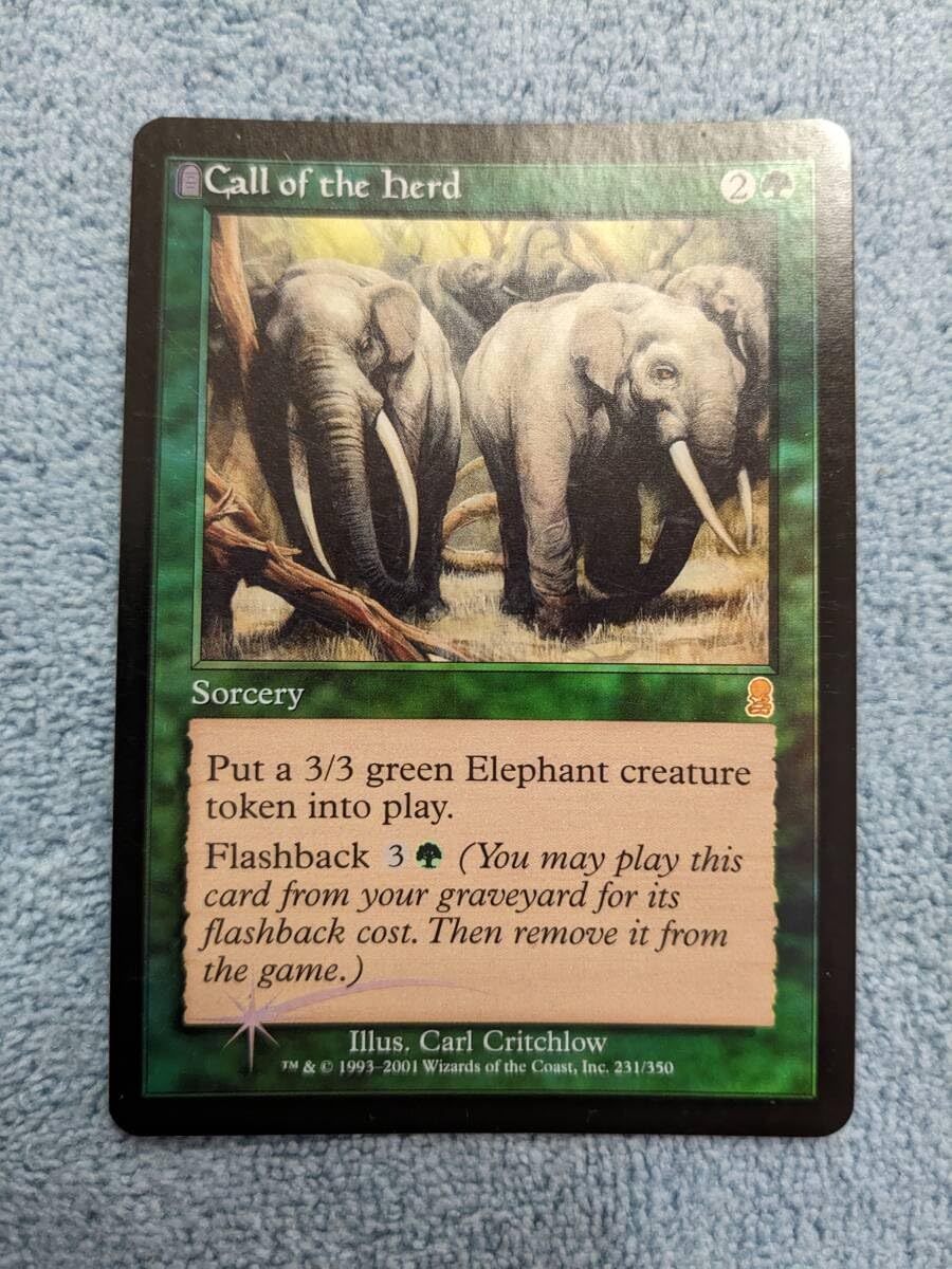 獣群の呼び声 英語 FOIL Amazon.co.jp: MTG Foil 英 獣群の呼び声