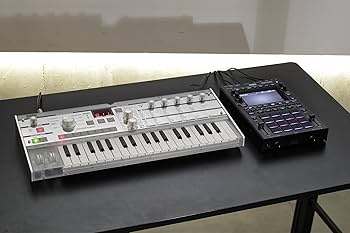 Amazon.com: Korg KAOSS Replay Dynamic Effects & Sampler : Musical