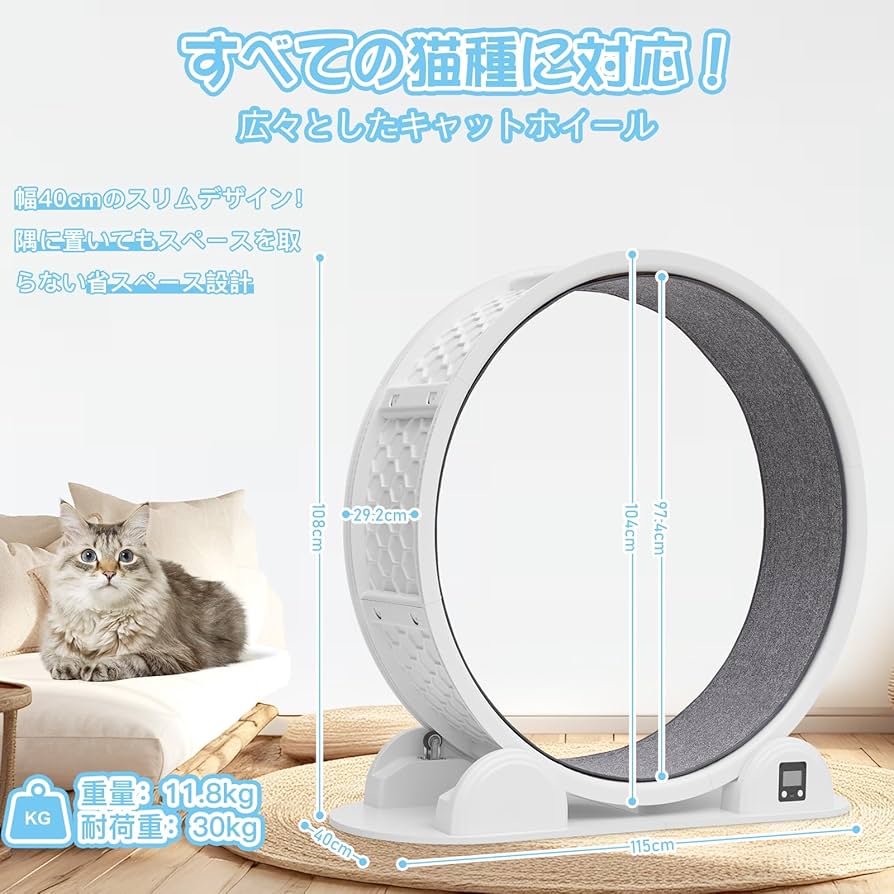 Amazon.co.jp: HOVONO 万歩計付きキャットホイール 非常にシンプルで