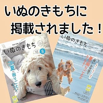 Amazon | 鹿角さん 鹿の角 犬 用 おもちゃ 小型犬用 四つ割り 1本