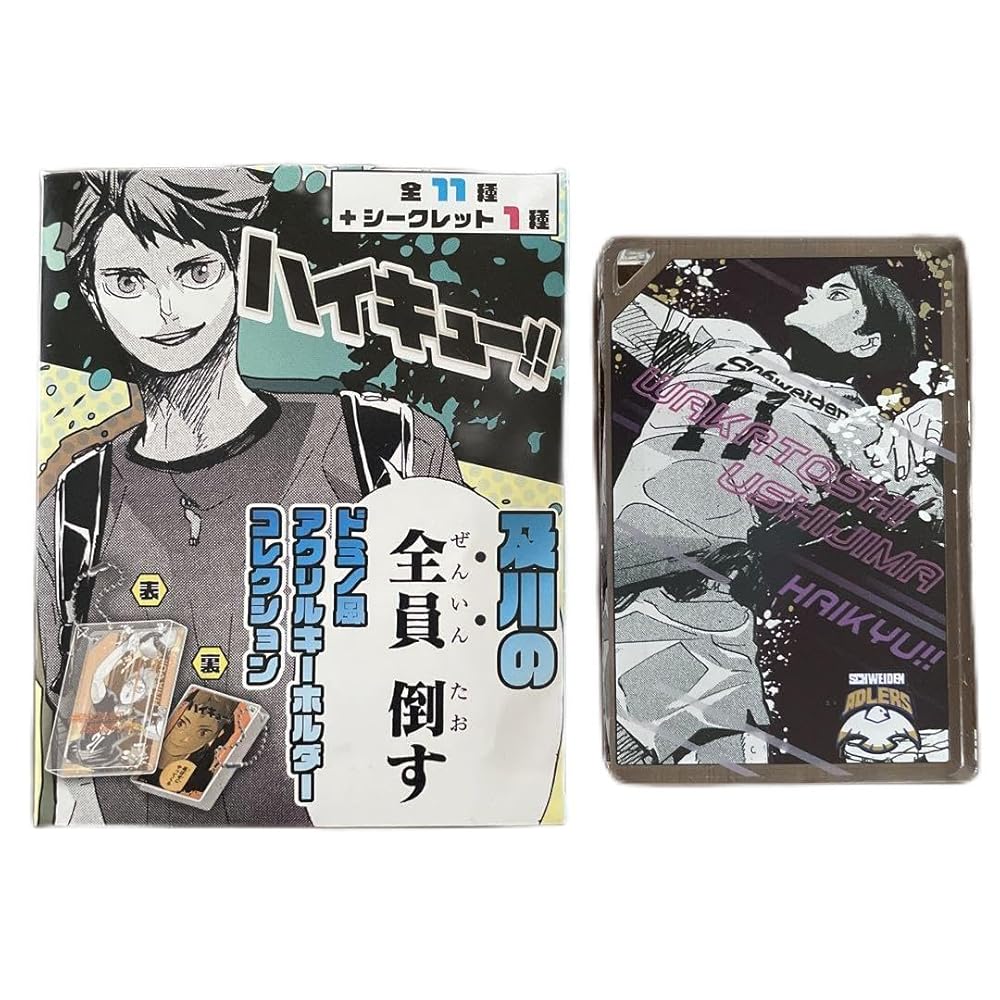 ハイキュー 及川 全員倒す ドミノ風アクリルキーホルダーコレクション