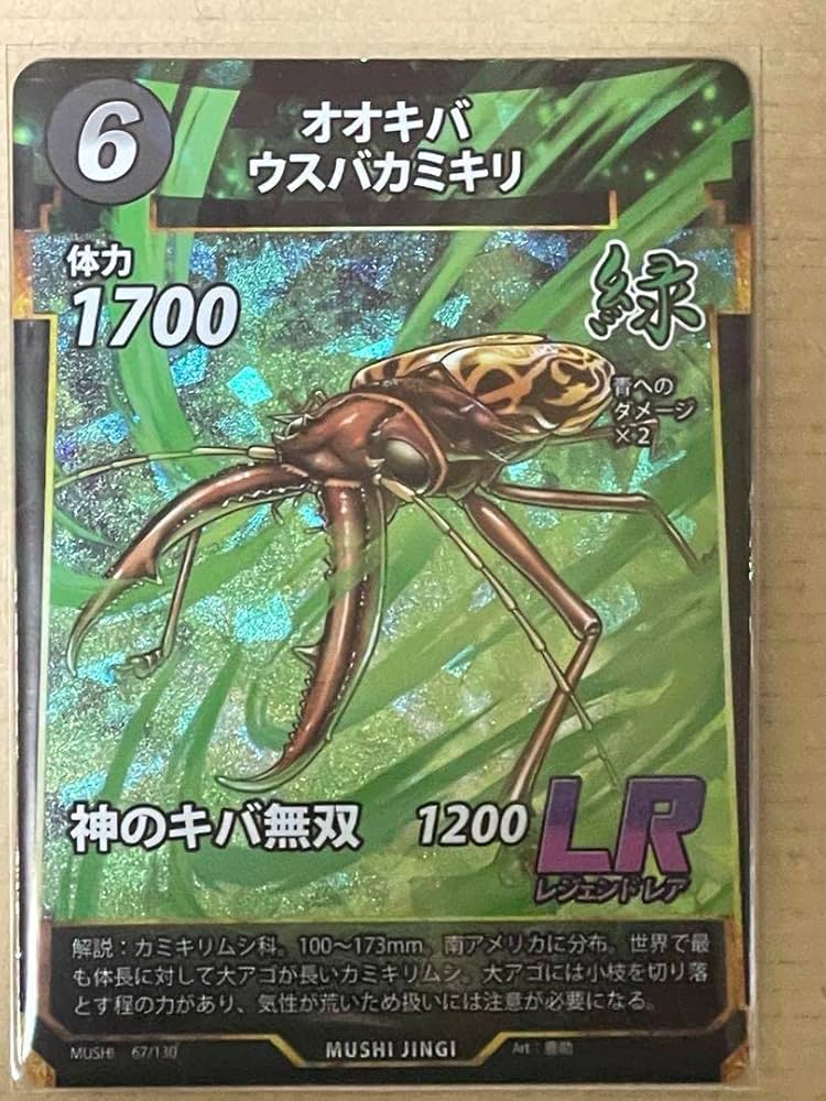 Amazon.co.jp: 蟲神器 L R オオキバウスバカミキリ 他6枚セット : 楽器