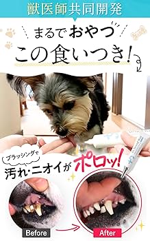 ドクターデンタルワン5箱犬用口腔ジェル30gビーフ味