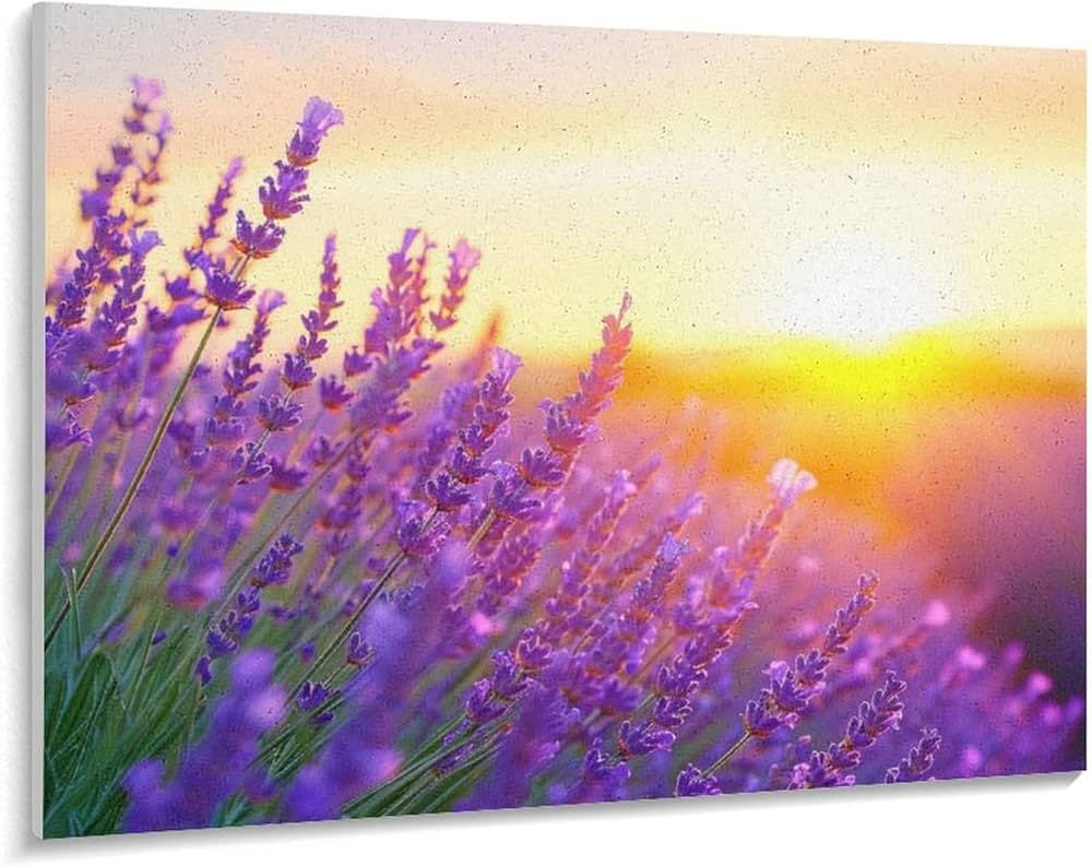 油絵(ラベンダー畑) 油絵(ラベンダー畑)