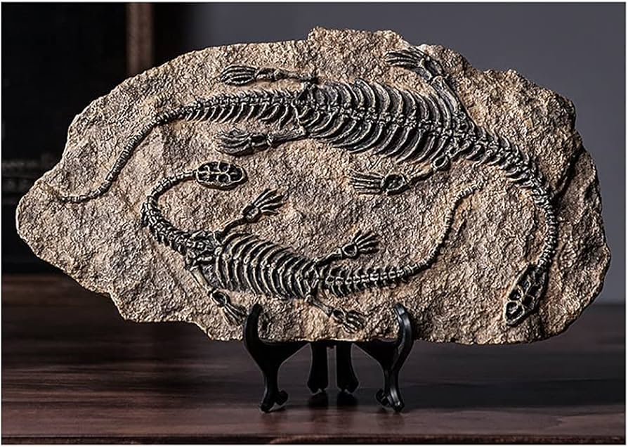 COVENT GARDEN 恐竜の大型骨格オブジェ 約80cm グレー 石膏製？ COVENT