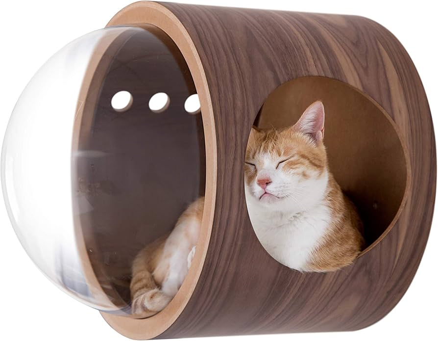 Amazon | MYZOO 宇宙船 猫ハウス 猫ベッド ペット用ベッド ドーム状 壁