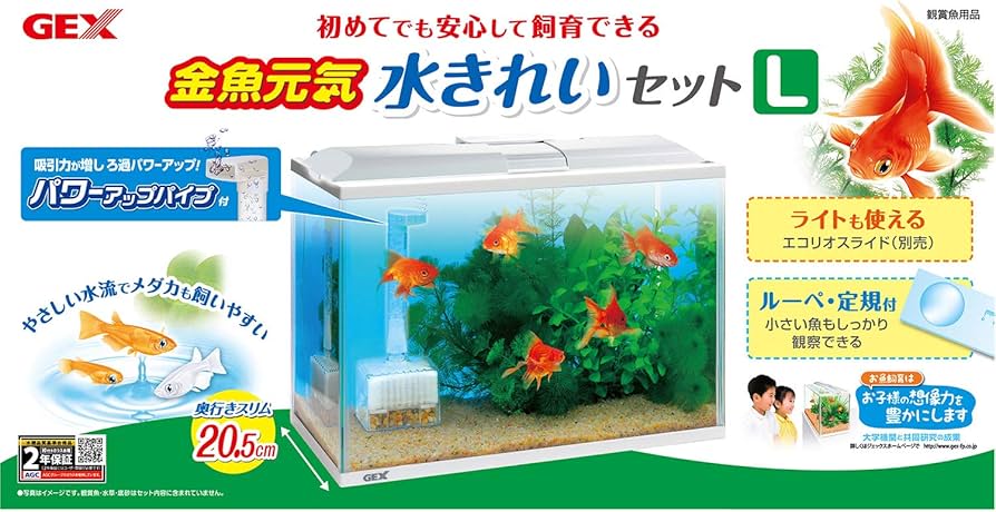 Amazon | ジェックス ガラス 金魚元気 水きれいセット L | GEX | 飼育