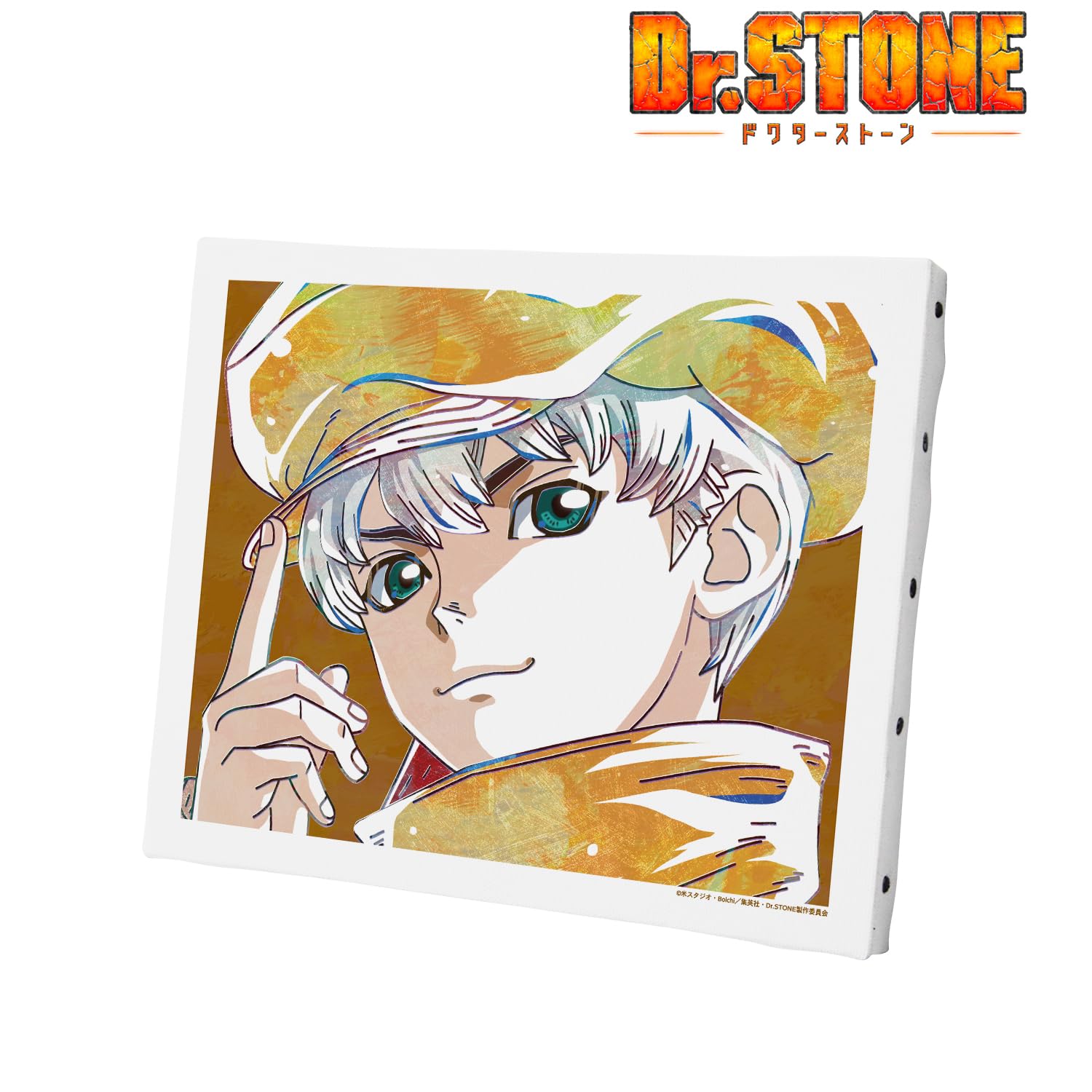 Amazon.co.jp: Dr.STONE 西園寺羽京 Ani Art 第2弾 キャンバスボード