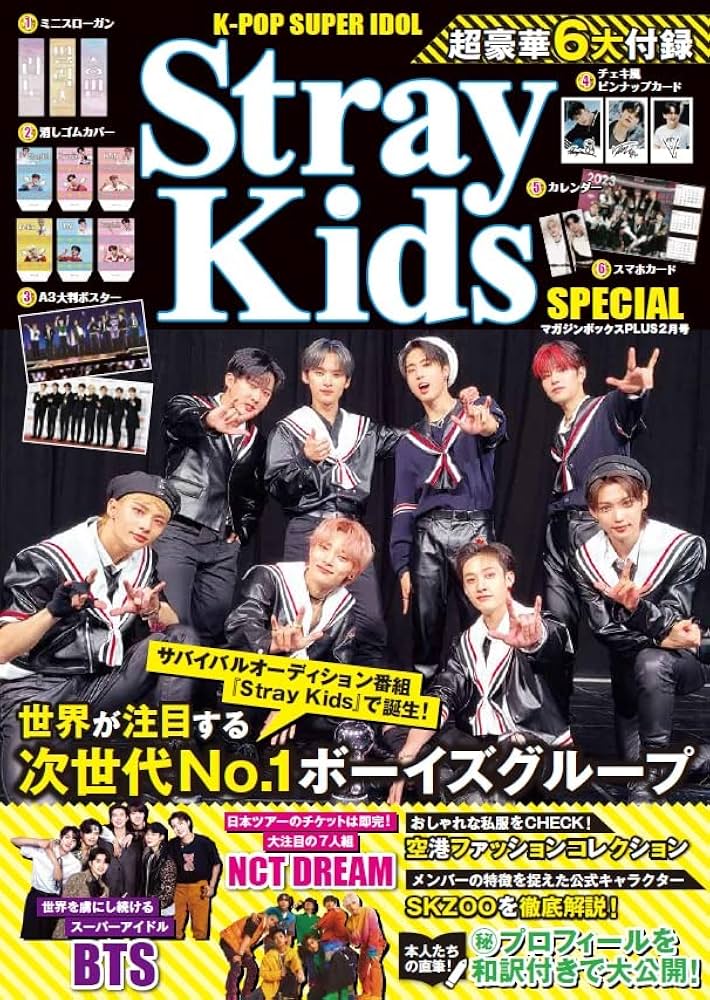 K-POP SUPER IDOL Stray Kids Special | マガジンボックス |本 | 通販