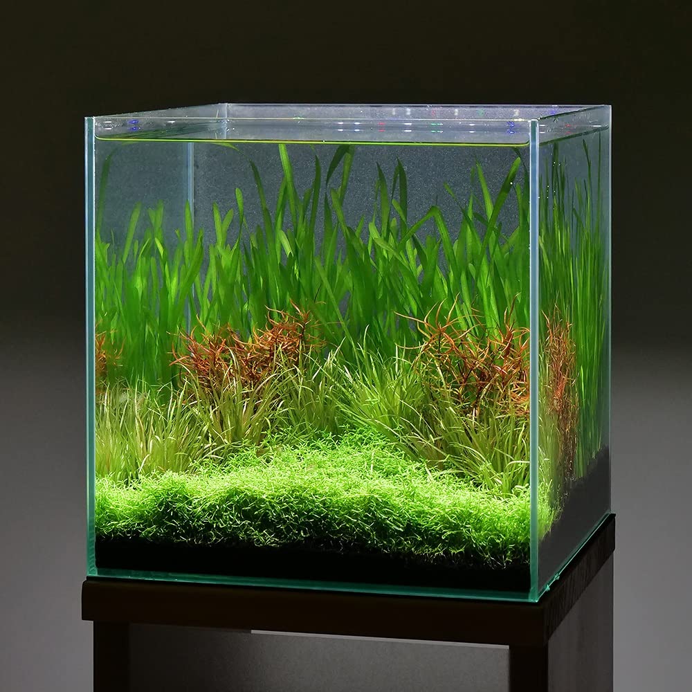 60cm水草水槽セット （水草後から） キャビネット付│ 水草水槽 60cm