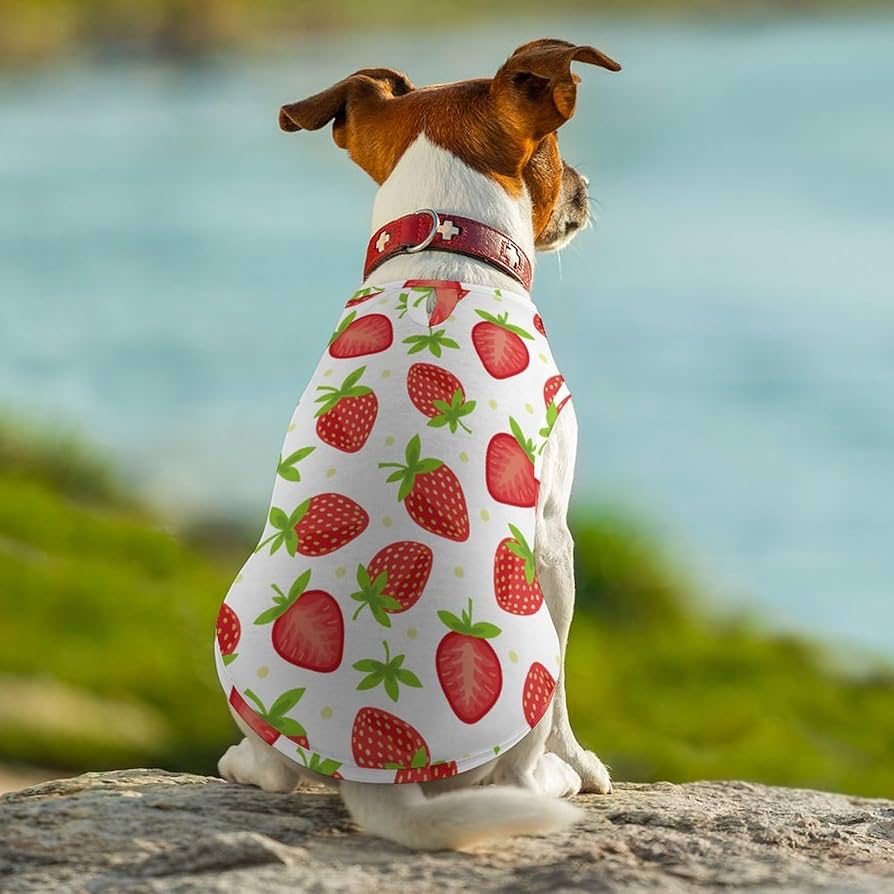 71E4-PDWdGL._AC_UF894,