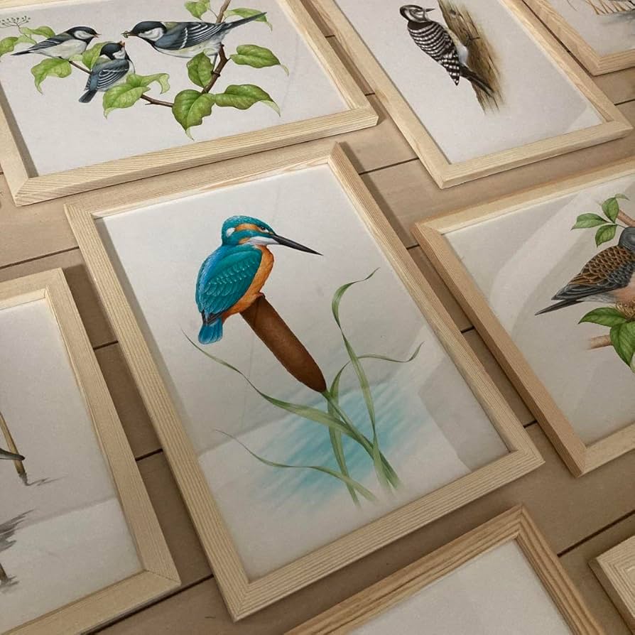 希少 野鳥 絵画 イラスト 原画 セット ウッド フレーム 新品 額装