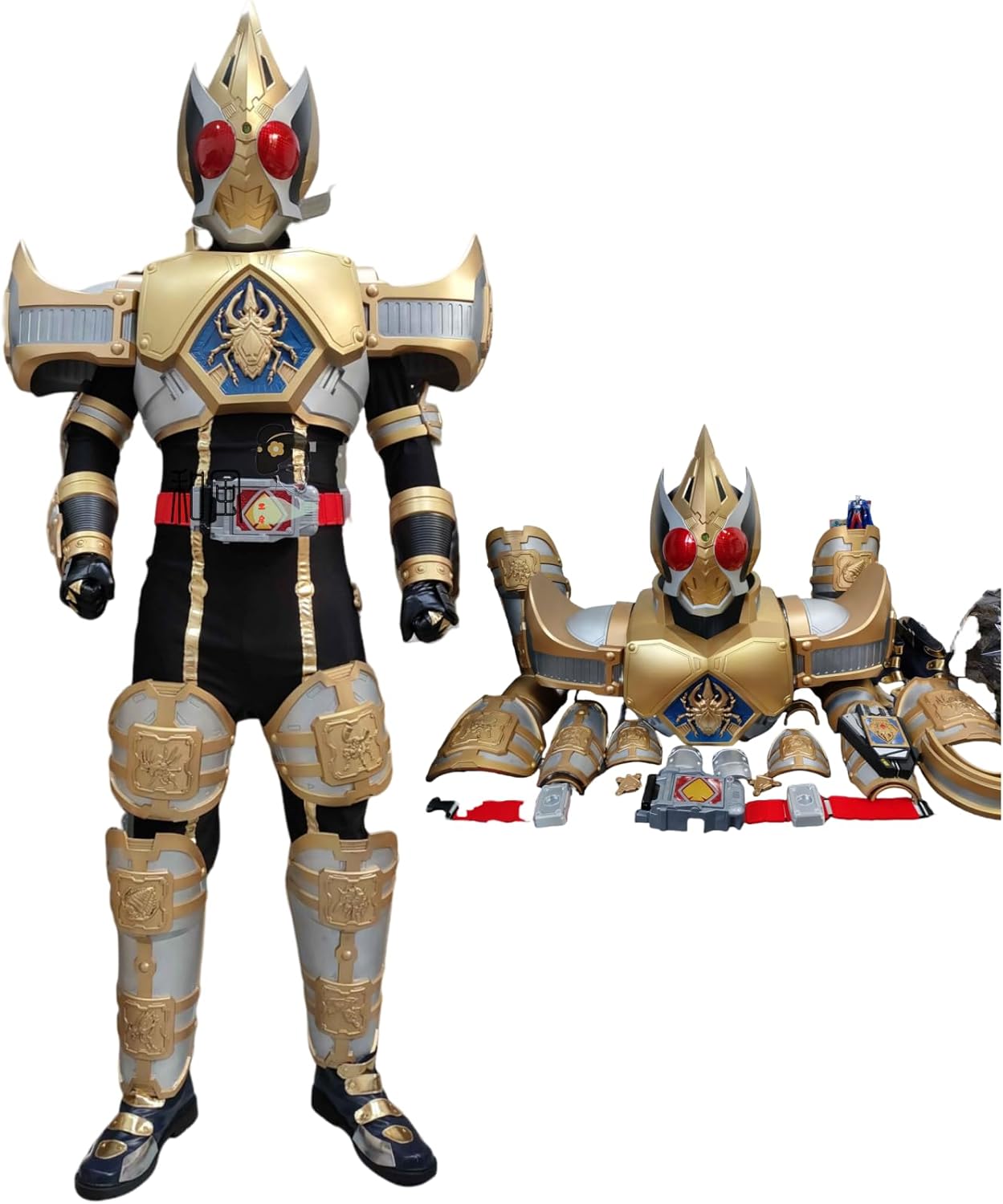 Amazon.co.jp: モロッコ産オルソセラス群直角貝群古生代デボン紀化石