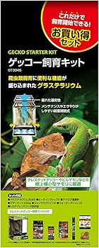 Amazon | GEX EXOTERRA ゲッコー飼育キット GT3045 爬虫類用ガラス