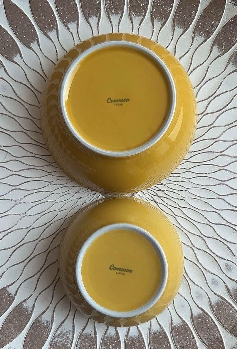 九谷焼須田菁華造色絵蕪文汲出茶碗2客 須田菁華 九谷焼 茶碗 5客 共箱