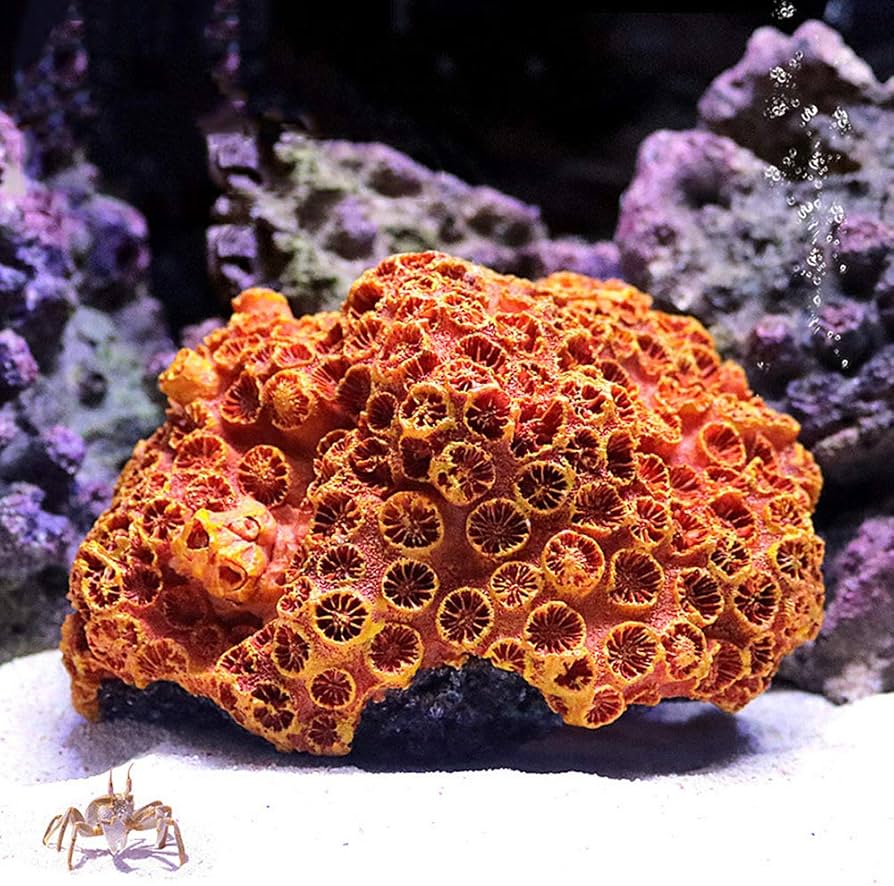 Amazon | Luottus 人工珊瑚 サンゴ 水槽 コーラル オブジェ レプリカ