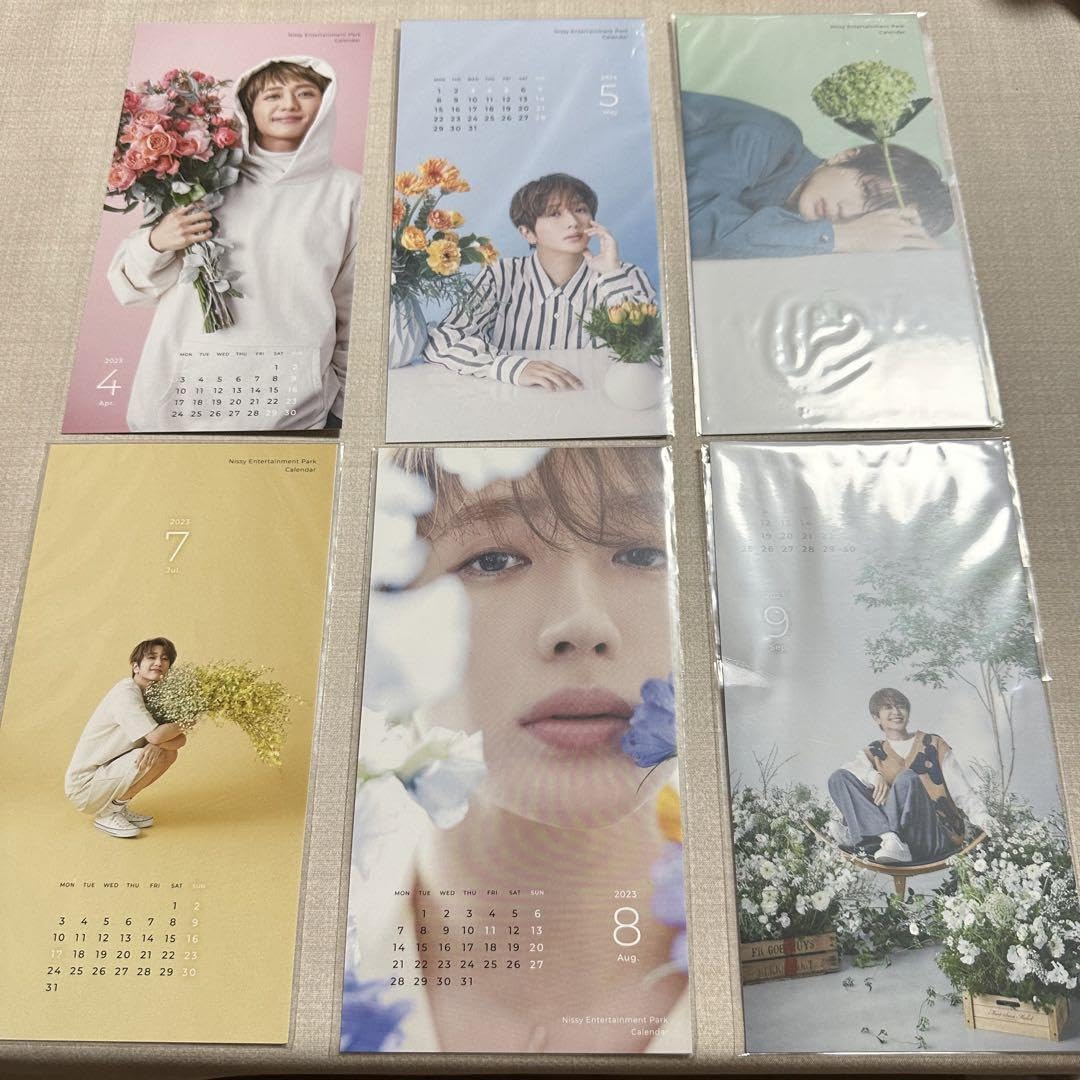 Nissy カレンダー Nissy Entertainment Park」限定 撮り下ろし