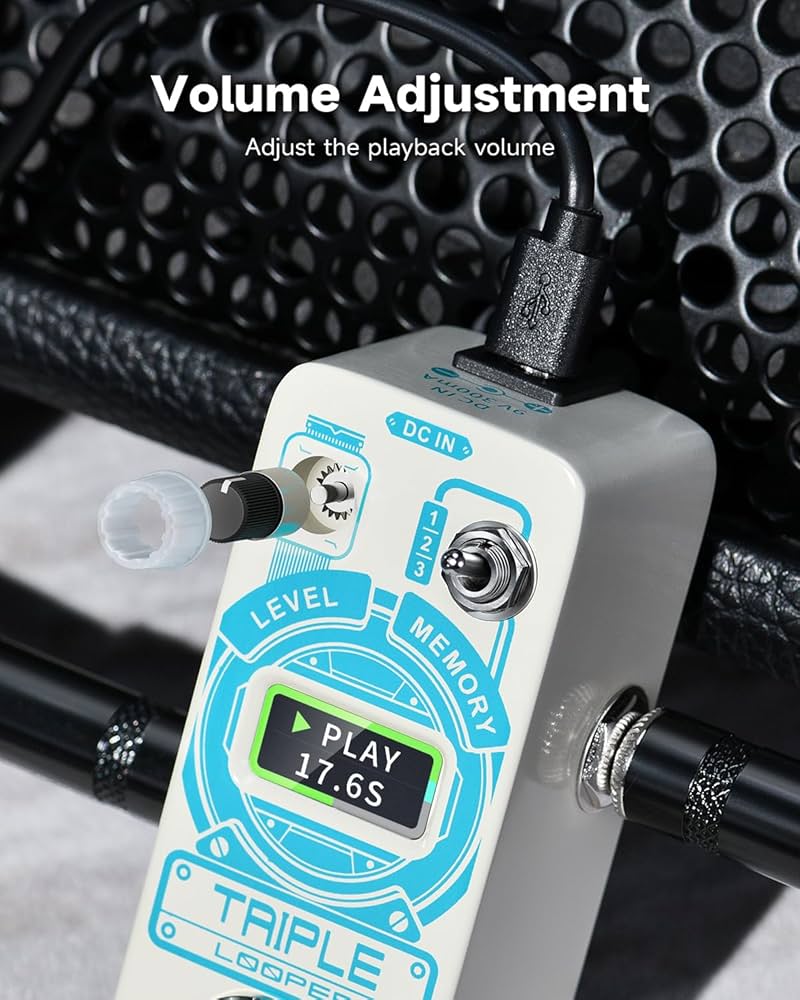 Donner Looper Pedal for Electric Guitar - 3 Loops Total 90 mins