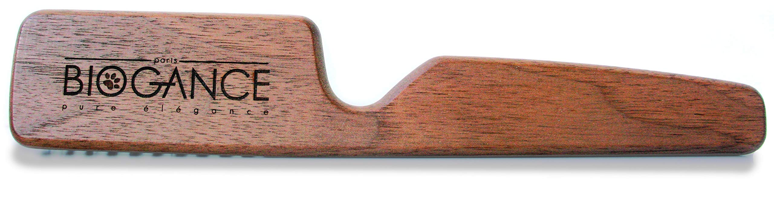 Amazon.co.jp: BIOGANCE マッサージブラシ 化粧箱入り 高級ナッツの木