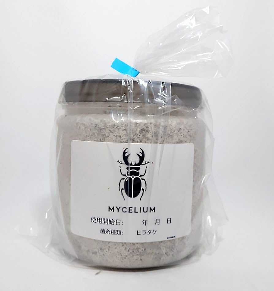 極上！黒アワビタケ菌糸瓶【8本】初令、2令に最適なサイズ！ニジイロ