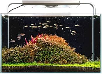 GrassyCore Reef LED水槽照明GrassyCore Reef スマートLED水槽照明