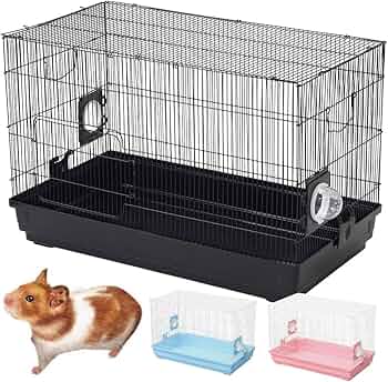 71G71TN2YpL._AC_UF350,