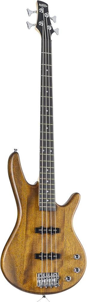 Amazon | Ibanez(アイバニーズ) GIOシリーズ エレキベース Transparent