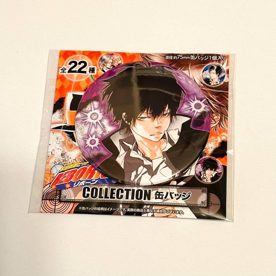 家庭教師ヒットマンREBORN! 雲雀恭弥 ディーノ 缶バッジ 家庭教師