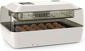 71GcKOprNyL._AC_UF350,