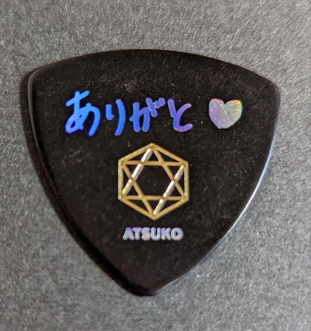 Pincess Princess プリンセス プリンセス ギターピック Pincess