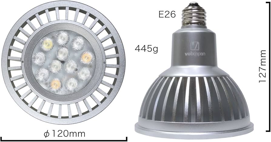 Amazon | ボルクスジャパン Grassy LeDio RX122 Sunset