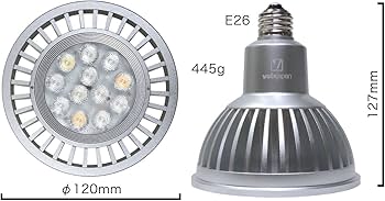 Amazon | ボルクスジャパン GrassyLeDio(グラッシーレディオ) RX122