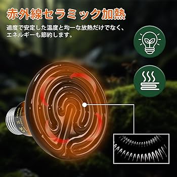 Amazon | DXTECHPRO 100W 2個 爬虫類 ヒーター ライト 赤外線ライト