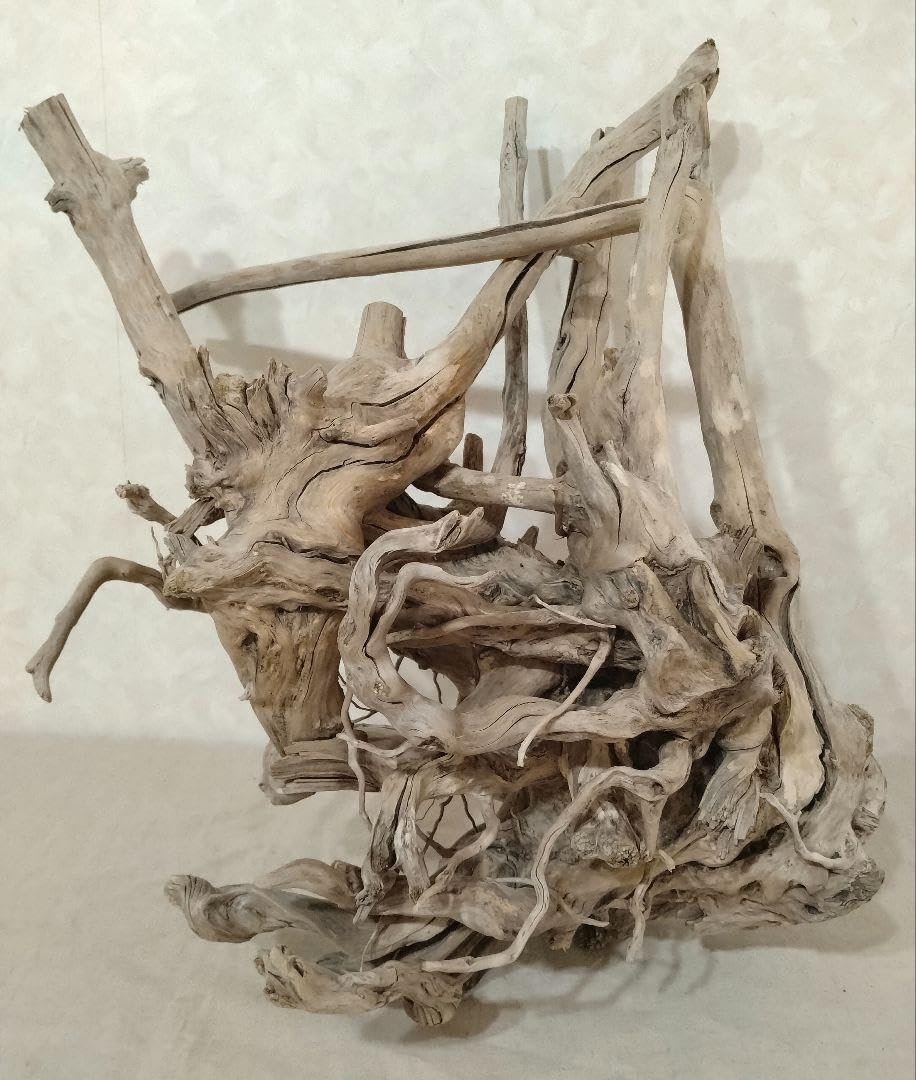 流木 空洞型バニヤン盆栽流木 水槽レイアウト【職人技】 枝流木（020）