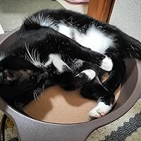 Amazon.co.jp: マルカン NYANTA CLUB 遠赤外線ホッとヒーター 猫鍋