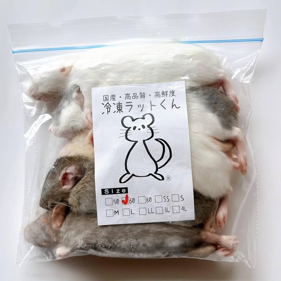 冷凍ラット 30匹セット 40g〜60g