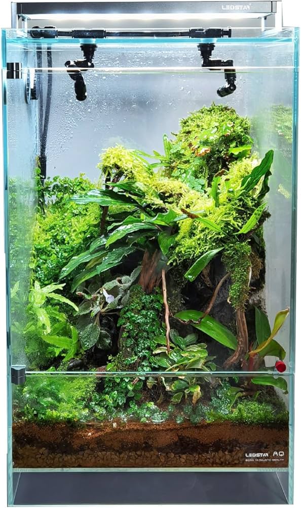 Amazon.co.jp: LEDSTAR インフィニティ ハイラエア テラリウム
