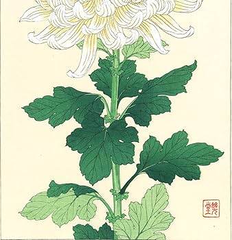 Amazon.co.jp: 河原崎奨堂 (Kawarazaki Shodo) (18991973)木版画 F034