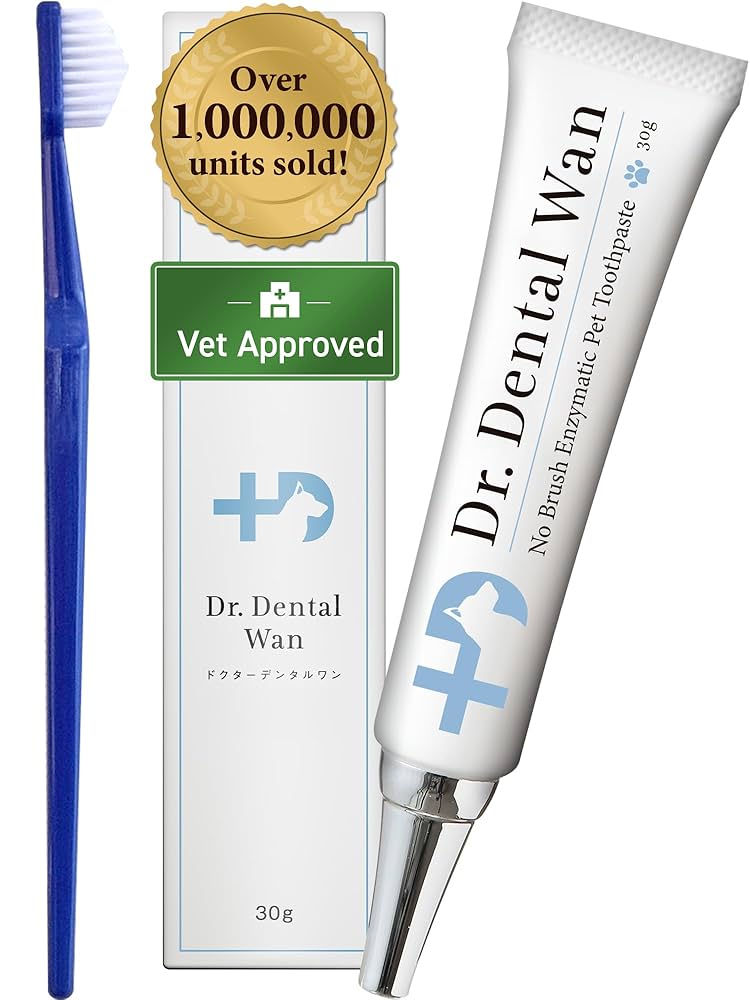 注文 Dr.デンタルワン2本セット Dr. Dental Wan デンタルケア 2本