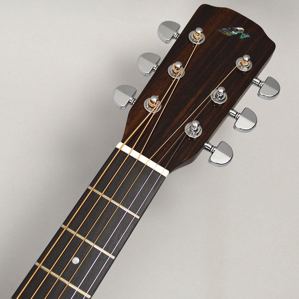 Amazon.co.jp: MORRIS M-80 II アコースティックギター 国産 (モーリス