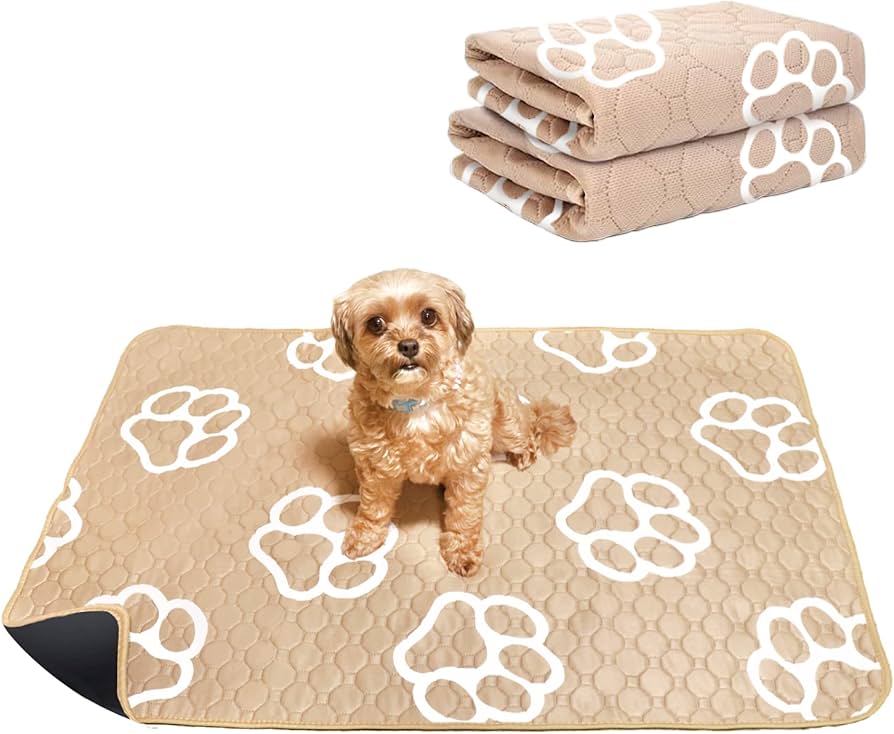 Amazon.co.jp: (ソメイエ) 洗えるペットシーツ 老犬おもらし対策