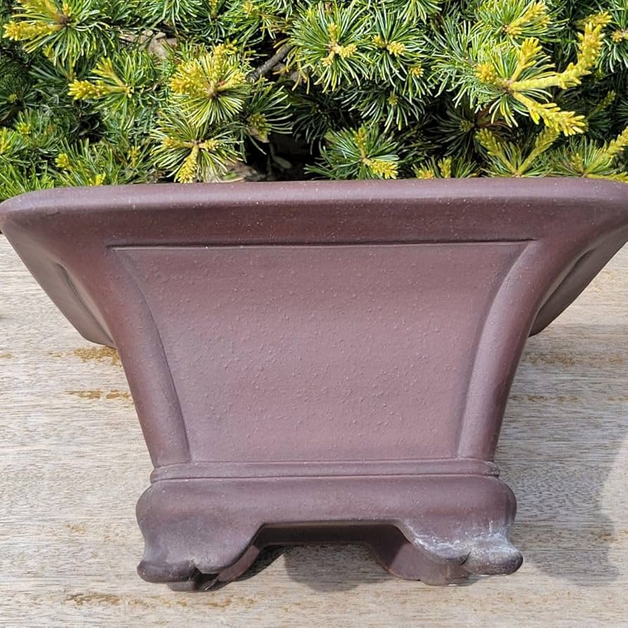 2000お値下げ☆ 盆栽鉢 山秋 常滑焼 2000お値下げ☆ 盆栽鉢