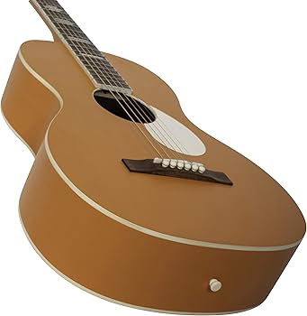 Amazon | Recording King 6弦アコースティックギター 右 モナーク